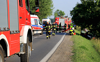Każdego dnia na polskich drogach ginie 8 osób. Obchodzimy Światowy Dzień Pamięci Ofiar Wypadków Drogowych